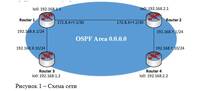 
  3    OSPF     :   .  6