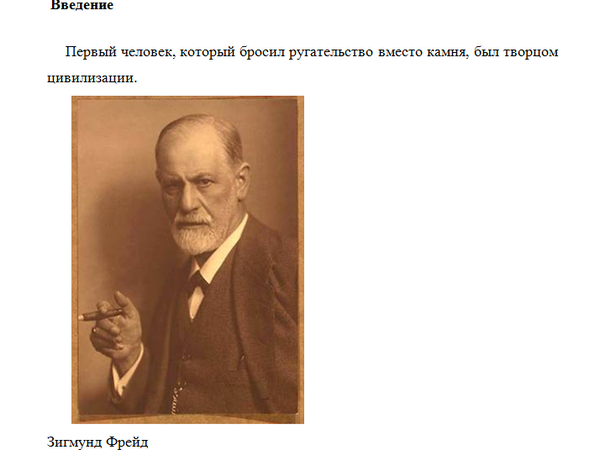 Реферат: Freud